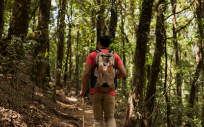Immergersi nel verde per recuperare il benessere e l’equilibrio